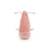 JELLYCAT 美味海鲜大虾均码6cmJCACSSEA6SH玩偶 商品缩略图3