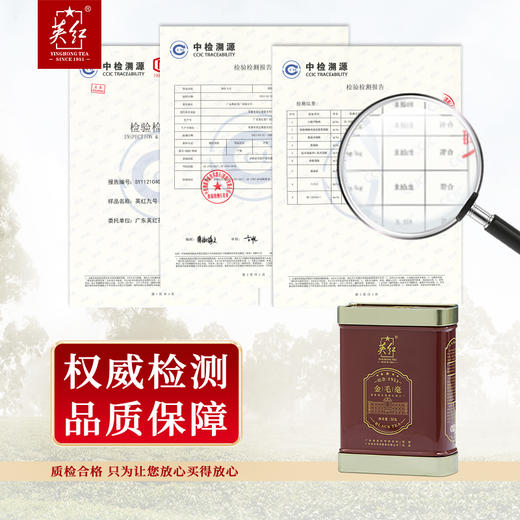 【上万颗芽头制出一斤茶】英红牌 2023明前春茶 特级金毛毫 高香有机红茶 英红九号 50g/罐（京东同款） 商品图3