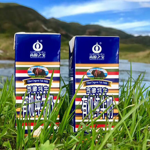 有机牦牛奶（高原之宝小彩盒） 商品图2