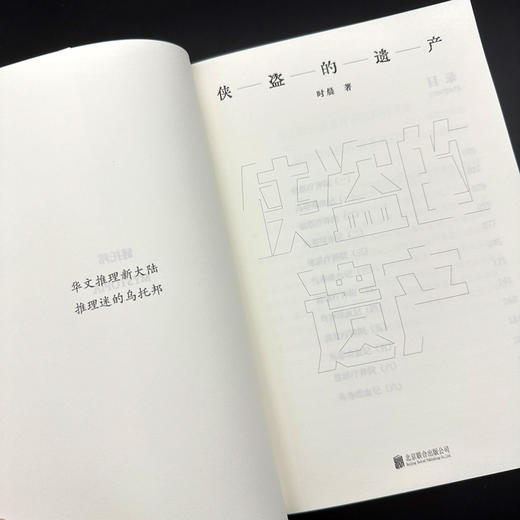 侠盗的遗产 商品图7