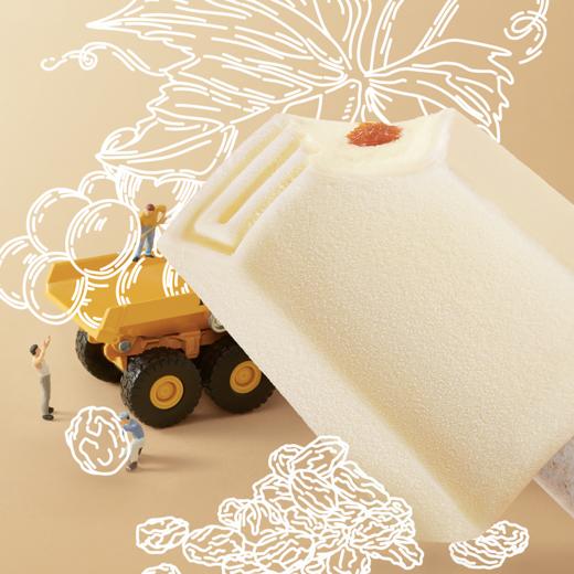 钟薛高提子牛乳雪糕75g 商品图3