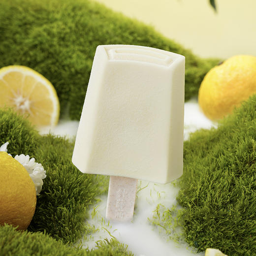 钟薛高柚味酸奶雪糕78g 商品图2