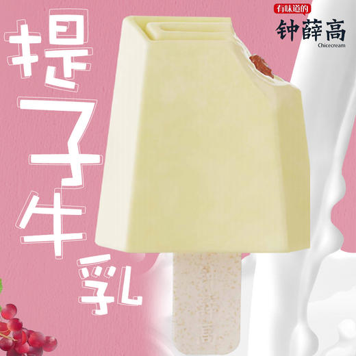 钟薛高提子牛乳雪糕75g 商品图4
