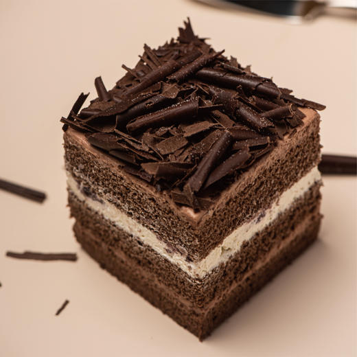 黑森林（2023） 商品图0