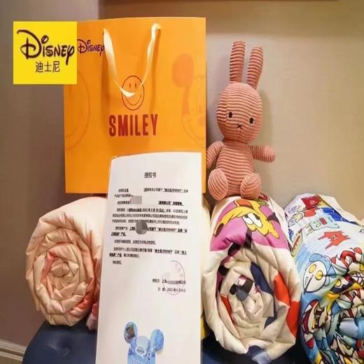 【带礼袋】Disney/迪士尼儿童夏被卡通水洗棉夏凉被空调被幼儿园宝宝午睡被 商品图3