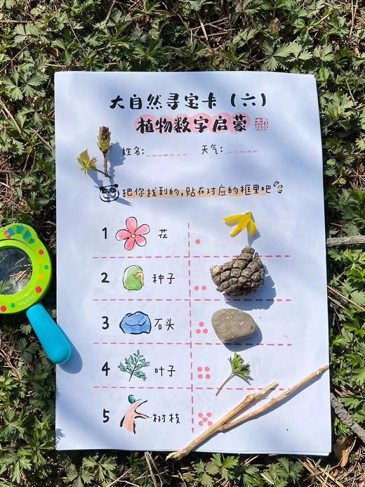乔智大叔原创手绘——大自然寻宝任务卡pdf文件（6张） 商品图9