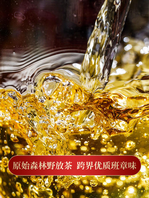 【班章王】等待三年终于开采，千年茶王古树大30米高杆古树，古寨春独享茶区 商品图8