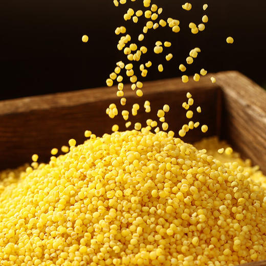 DF-燕之坊四珍黄小米礼盒1.92kg （80g*6*4） 商品图4