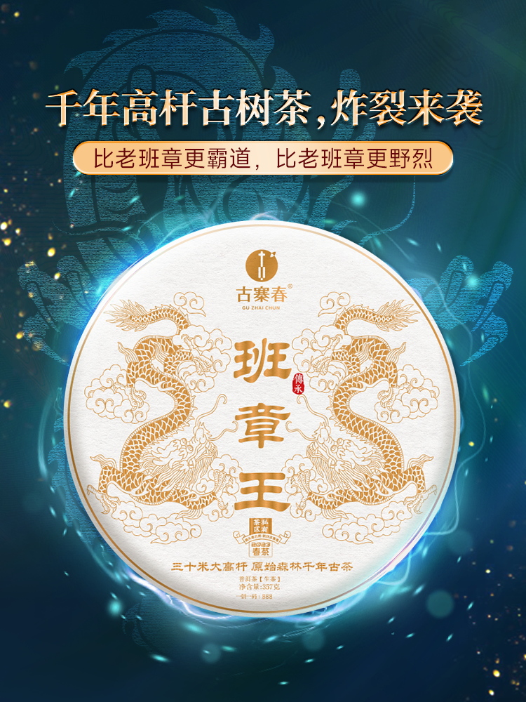 【班章王】等待三年终于开采，千年茶王古树大30米高杆古树，古寨春独享茶区