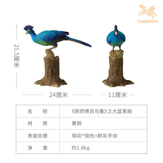 铜师傅 铜摆件《铜师傅百鸟集》之大蓝蕉鹃 铜工艺品 家居饰品摆件 商品图4