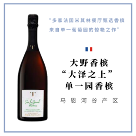 大野香槟“大泽之上”单一园自然干型香槟 Champagne Éric Taillet Sur le Grand Marais Parcelle Complantée – Brut Nature