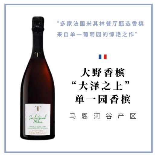 大野香槟“大泽之上”单一园自然干型香槟 Champagne Éric Taillet Sur le Grand Marais Parcelle Complantée – Brut Nature 商品图0