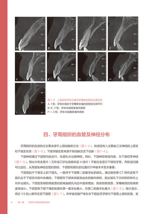 牙周手术临床操作图谱 潘亚萍 牙周临床诊疗与操作系列 配视频 手术术式操作步骤注意事项 口腔医学 人民卫生出版社9787117339988 商品图4