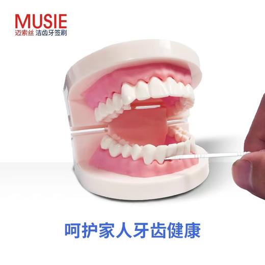 【中欧班列精选】台湾迈索丝牙签刷 原装进口英国进口细滑牙线棒牙缝清洁两用 300支/盒 商品图2