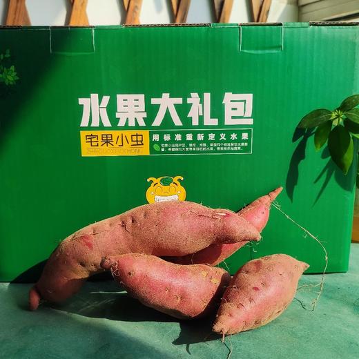 【囤货装】桥头地瓜·13斤装 商品图0