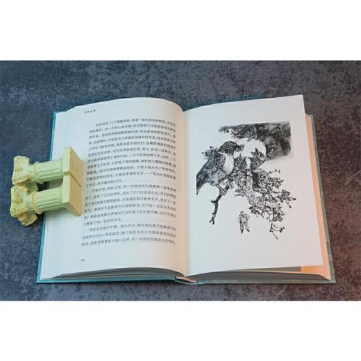 【签名本】《往来山海》（军旅作家丁小炜十年散文精选 往来时空，对话有光的灵魂  跨越山海，带你遇见新时代 商品图3