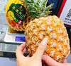 南海芒果凤梨 商品缩略图0