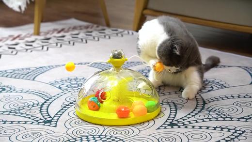【宠物用品】风车转盘猫咪益智玩具逗猫棒 商品图0