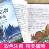 西顿动物故事集（全10卷 礼盒装彩图注音版）动物文学之父欧内斯特·汤普森·西顿代表作 世界儿童文学的经典之作 [7-10岁] 商品缩略图3