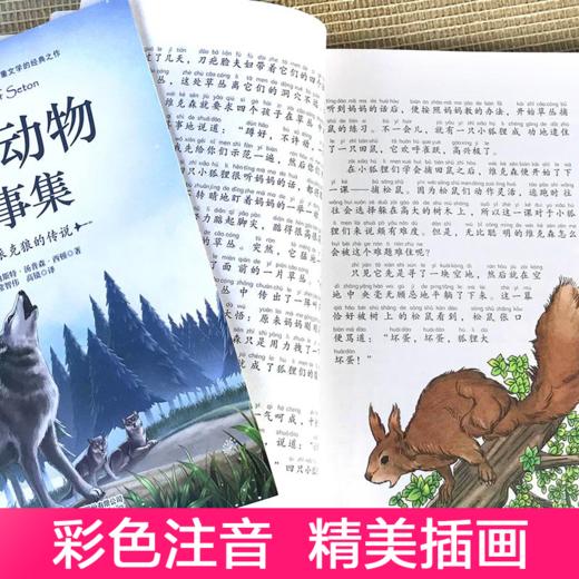 西顿动物故事集（全10卷 礼盒装彩图注音版）动物文学之父欧内斯特·汤普森·西顿代表作 世界儿童文学的经典之作 [7-10岁] 商品图3