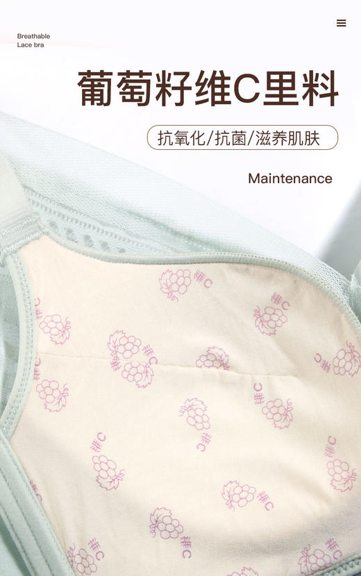 【满3件/59元】【75C】【C杯单件】凡尔赛无钢圈薄杯文胸E5110002C【专柜同款】 商品图3