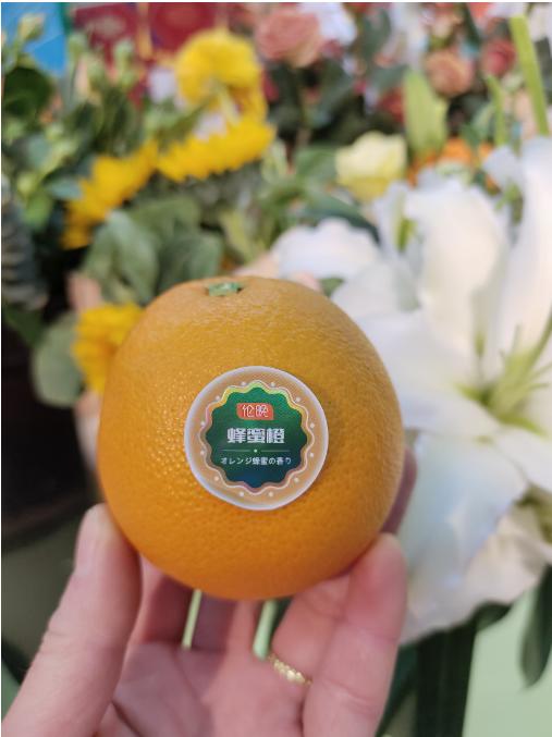 伦晚蜂蜜橙一箱（拼团） 商品图2