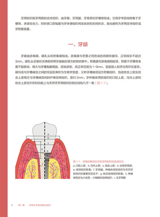 牙周手术临床操作图谱 潘亚萍 牙周临床诊疗与操作系列 配视频 手术术式操作步骤注意事项 口腔医学 人民卫生出版社9787117339988 商品图3