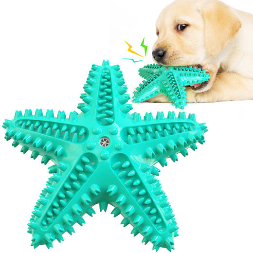 【宠物用品】磨牙棒狗牙刷发声海星狗玩具 商品图1
