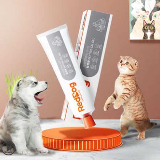 红狗肽钙膏猫咪狗狗补充营养肽钙膏健骨补钙微量元素改善异食 商品图3