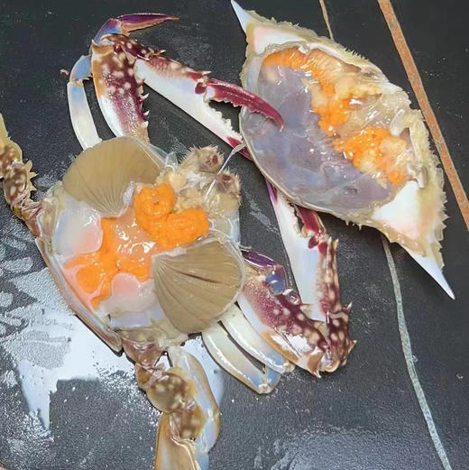 〔产地直发包邮17〕全母皮皮虾 商品图6