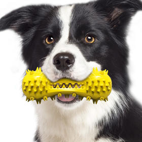 【宠物用品】狗牙刷磨牙棒发声狗狗玩具
