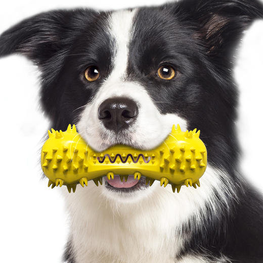 【宠物用品】狗牙刷磨牙棒发声狗狗玩具 商品图0