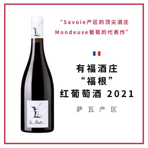有福酒庄“福根”红葡萄酒 2021 Domaine partagé La Deuse 2021 商品图0