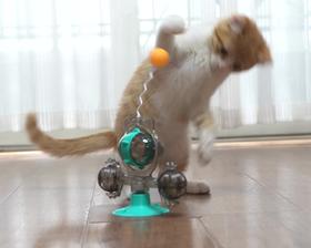 【宠物用品】逗猫棒风车转盘猫咪玩具吸盘漏食球