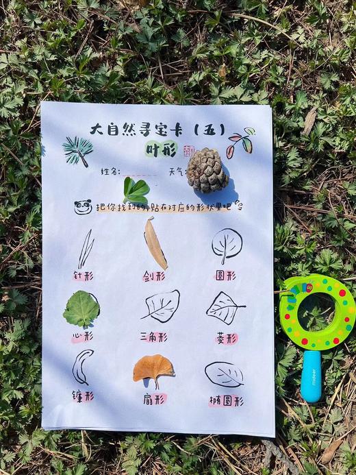 乔智大叔原创手绘——大自然寻宝任务卡pdf文件（6张） 商品图6