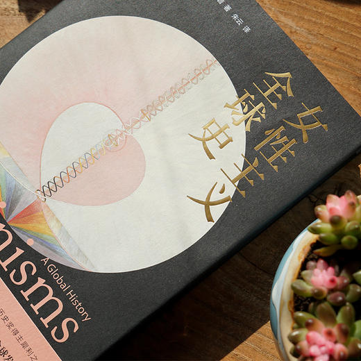女性主义全球史 商品图1