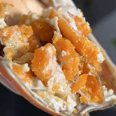 〔产地直发包邮17〕全母皮皮虾 商品图3