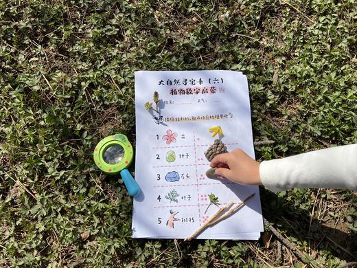 乔智大叔原创手绘——大自然寻宝任务卡pdf文件（6张） 商品图5