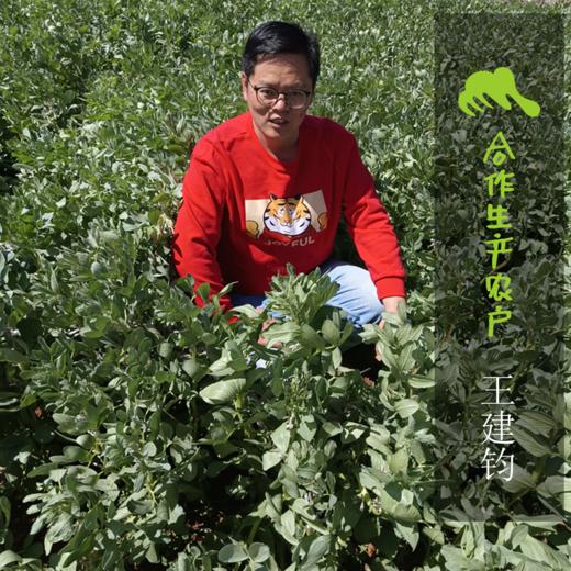 生态蚕豆（带夹） | 合作生产*  Ecological belt with broad beans  | Partner Production 商品图1