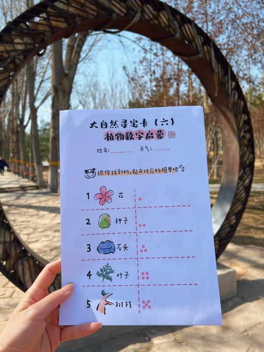 乔智大叔原创手绘——大自然寻宝任务卡pdf文件（6张） 商品图10