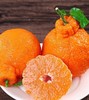 新鲜水果 四川眉山丑橘 5斤 袋装 商品缩略图4