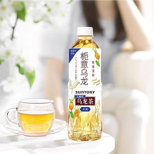 三得利栀意乌龙茶无糖500ml 商品图4