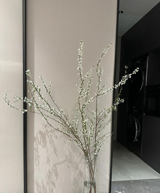 【开花特惠】雪柳花 重瓣 约 6-8 支/扎 商品图1