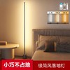 极简落地灯ins墙角简约轻奢卧室床头灯护眼起夜led创意遥控氛围灯 商品缩略图4