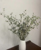 【等待与守候】小刺芹（ 情人果/爱情果） 扎 商品缩略图2