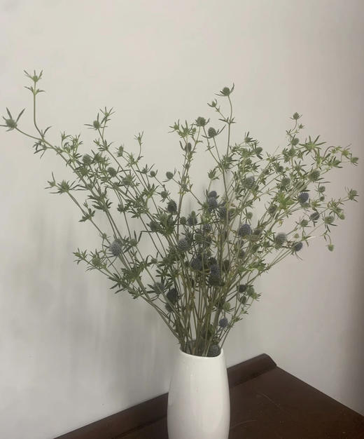 【等待与守候】小刺芹（ 情人果/爱情果） 扎 商品图2