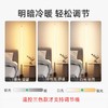 极简落地灯ins墙角简约轻奢卧室床头灯护眼起夜led创意遥控氛围灯 商品缩略图6