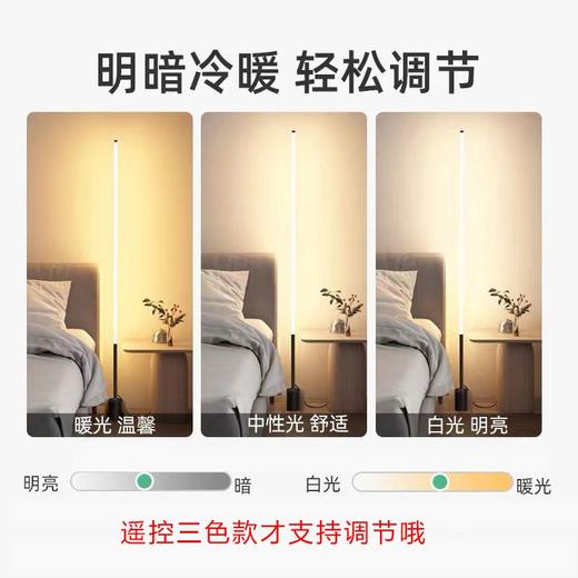 极简落地灯ins墙角简约轻奢卧室床头灯护眼起夜led创意遥控氛围灯 商品图6
