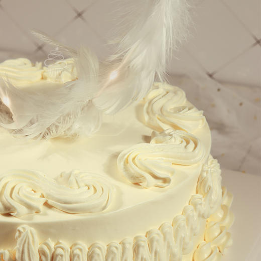 【芝心会员2升3磅兑换专属】-3磅爱心羽毛，用券立减100元 商品图3