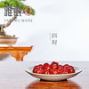 汝窑 四时小碟 商品缩略图1